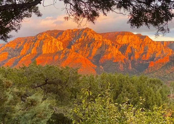 Casita In With Breathtaking Views, No Filters, Just Nature Apartment